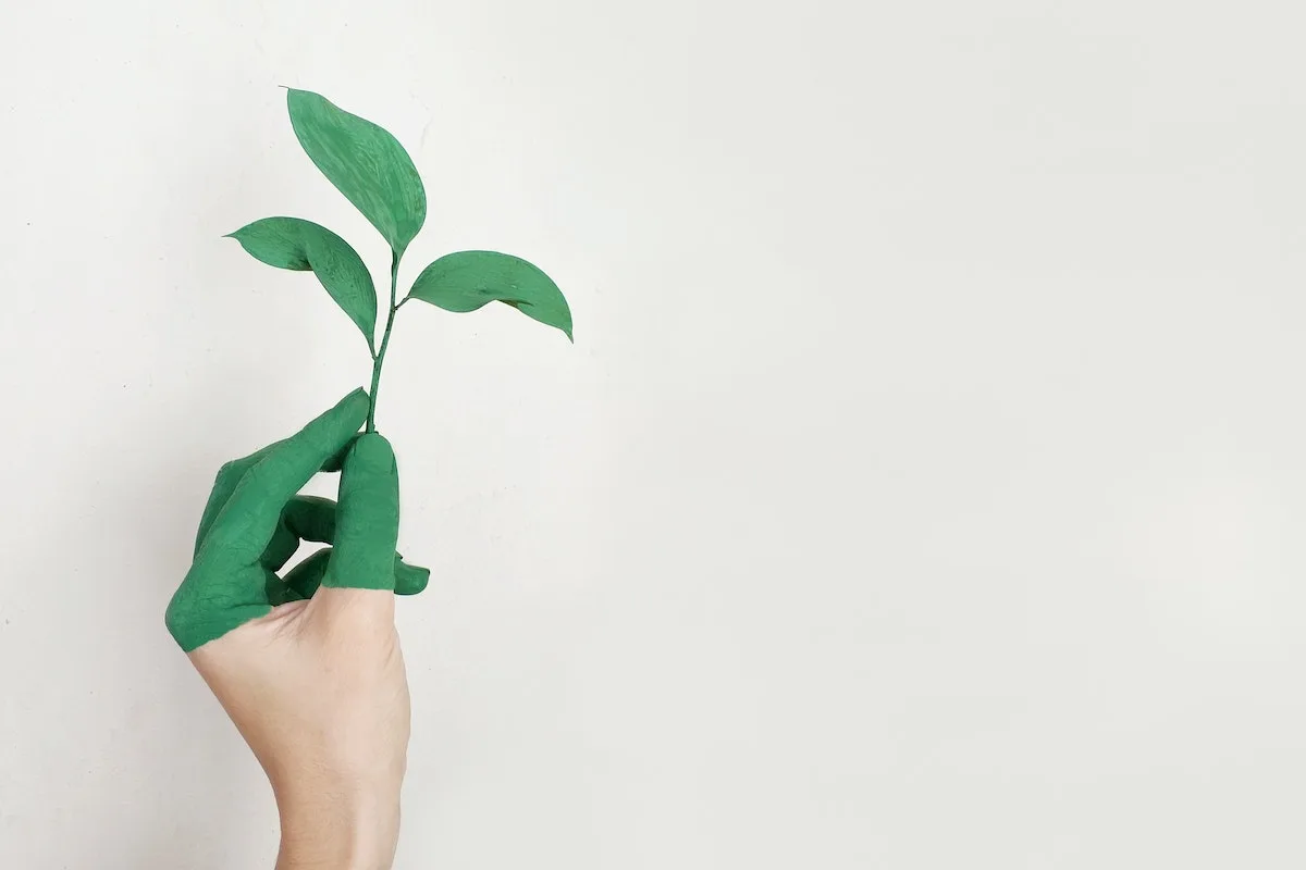 ¿Cómo hacer un emprendimiento sustentable?