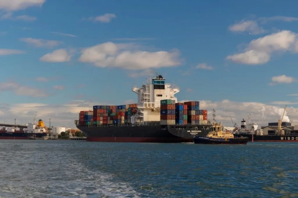 quién realiza el despacho de importación